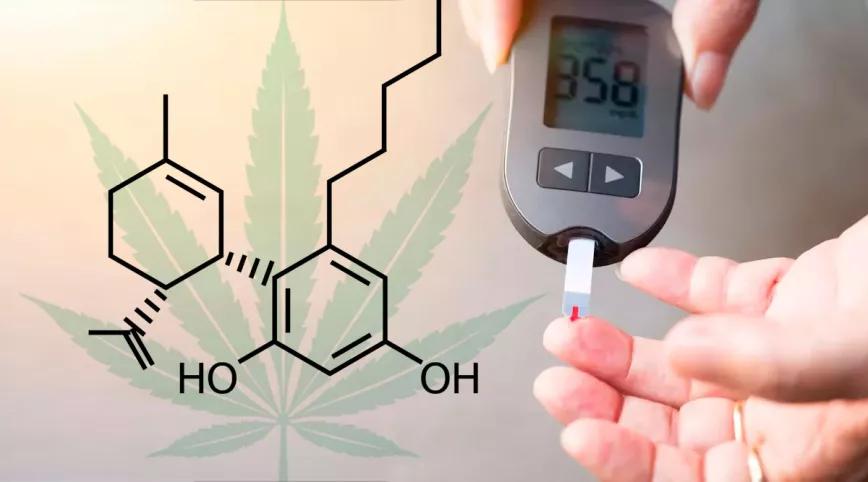 Un cannabinoide podría reducir el desarrollo de la diabetes 