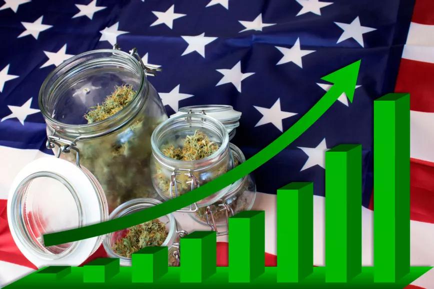 EE UU recaudó 3700 millones de impuestos con las ventas de cannabis recreativo en 2021