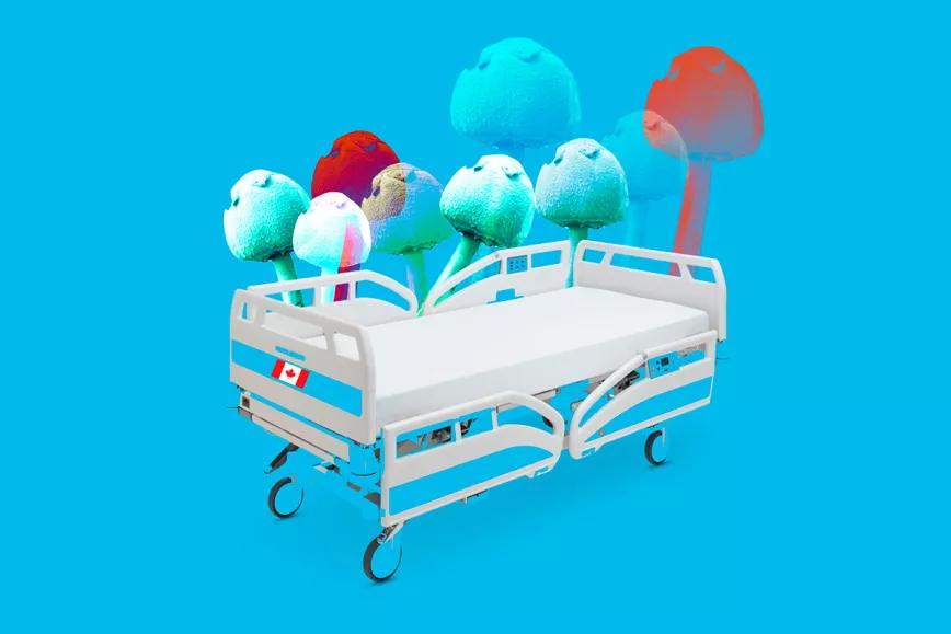 Canadá da la primera psilocibina producida en el país a seis pacientes