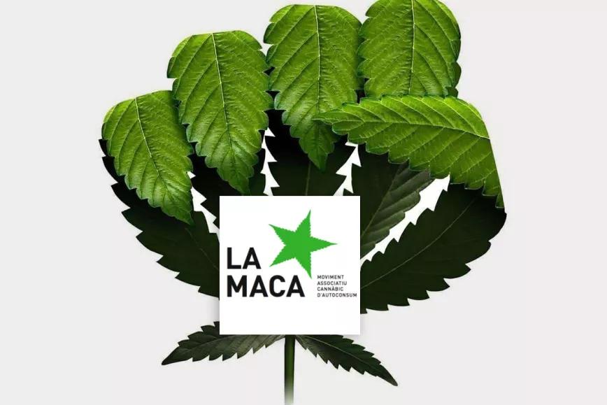 El Supremo reduce la condena de la veterana asociación La MACA