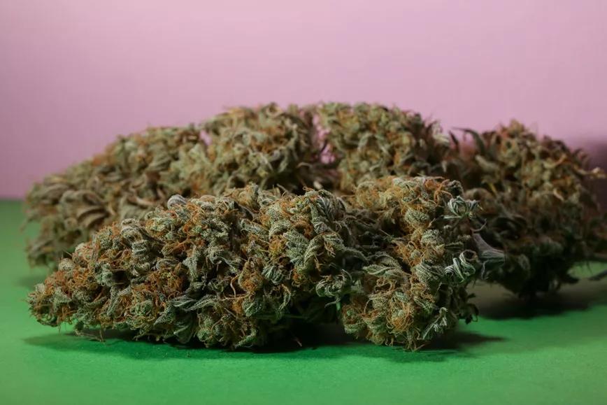 Cómo combatir el estrés, la ansiedad y la depresión con cannabis Por Buddha Seeds