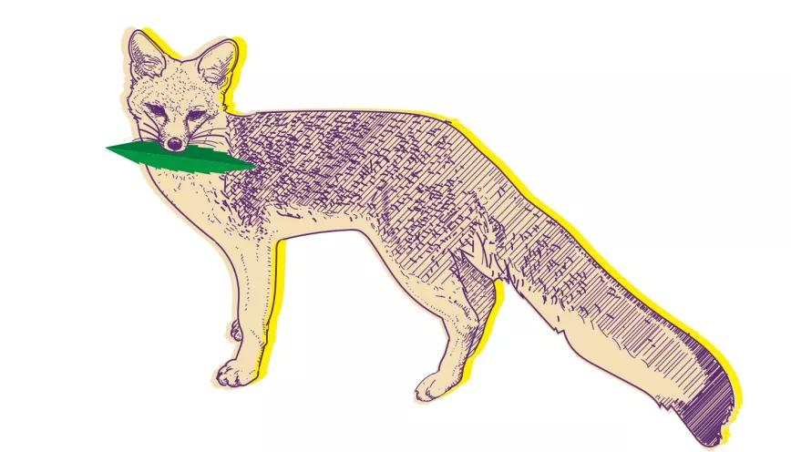 Seis estados buscarán mayor libertad cannábica Por Oswaldo Pérez Cabrera