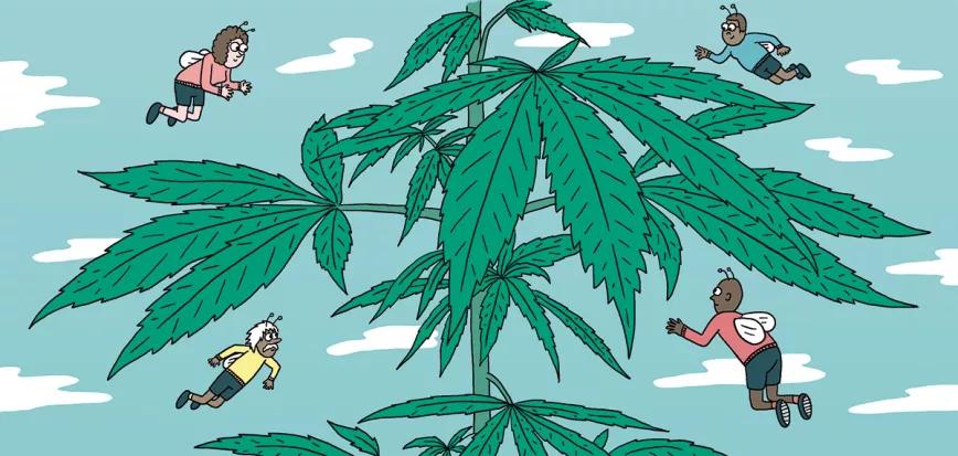 Los meses de crecimiento: diez claves importantes 