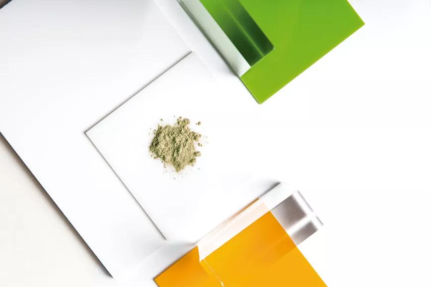 Cuando los cactus mescalínicos llevan TMA (trimetoxianfetamina) 