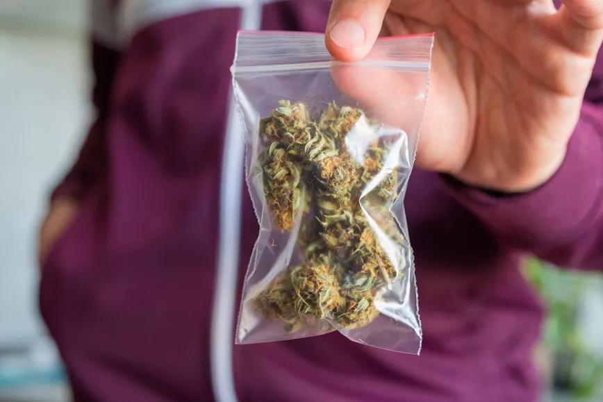 El parlamento de Lituania propone despenalizar el cannabis