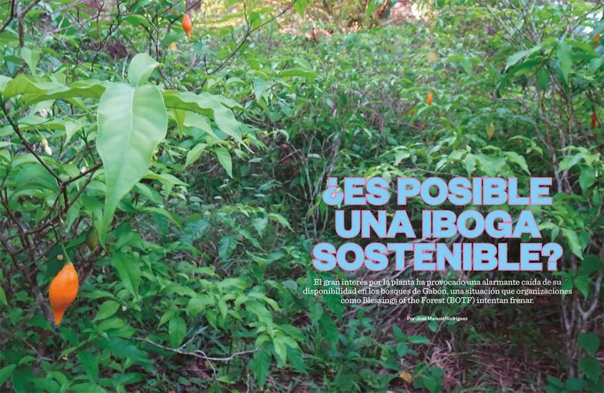 ¿Es posible una iboga sostenible? 