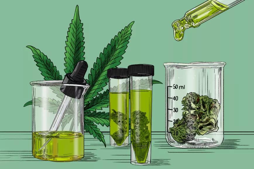 La autoridad alimentaria europea paraliza las autorizaciones del CBD 