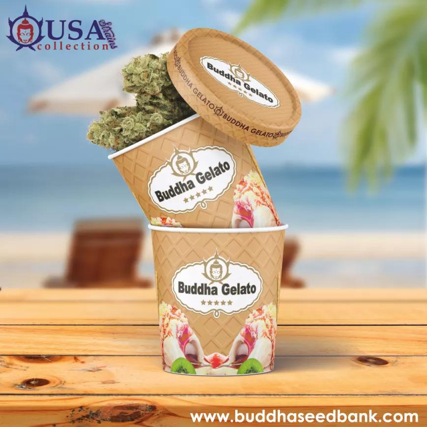 Buddha Gelato, el helado que no se derrite y se saborea todo el año