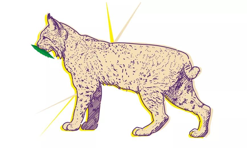 Misisipi 77: la propuesta más radical 