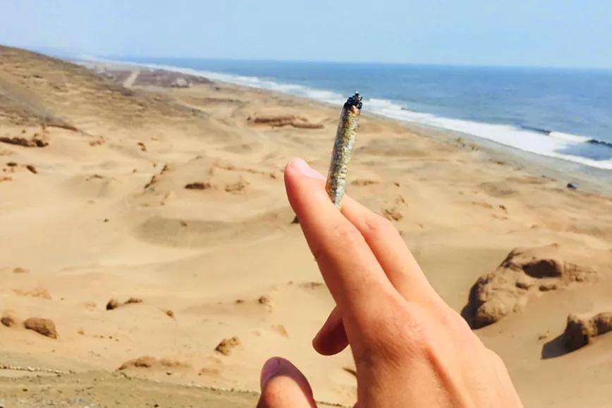 Proponen permitir el consumo de marihuana a turistas en Uruguay