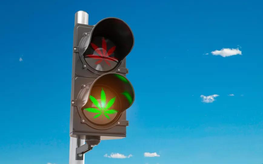 El Congreso da luz verde a la regulación del cannabis medicinal