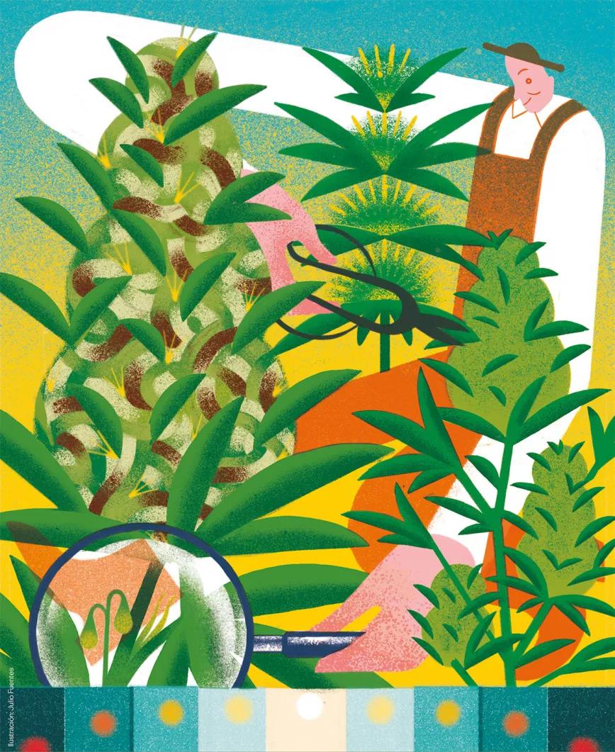 Julio: las primeras flores 