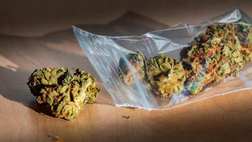 Lituania emprende la despenalización de la marihuana