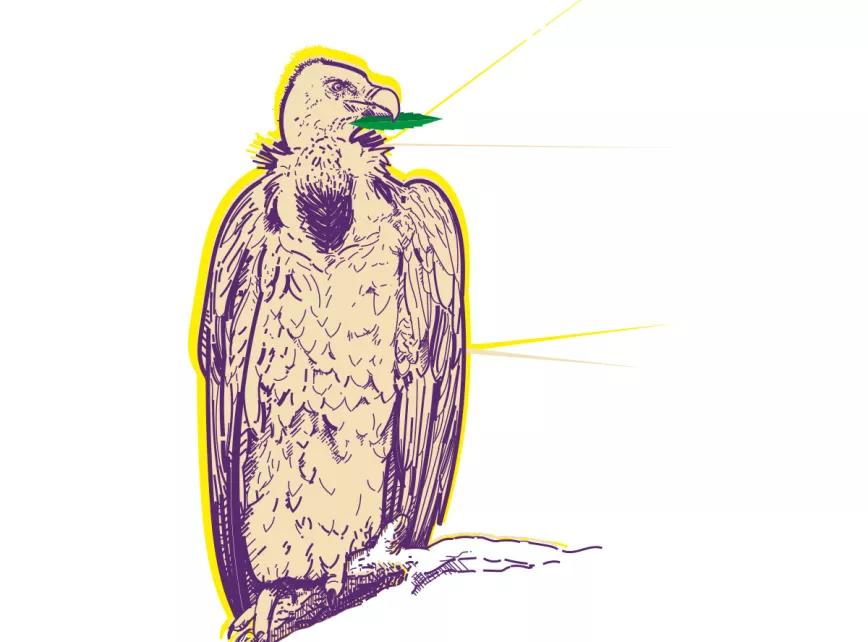 Observatorio Norteamericano  ¿Por qué los banqueros quieren pastel?