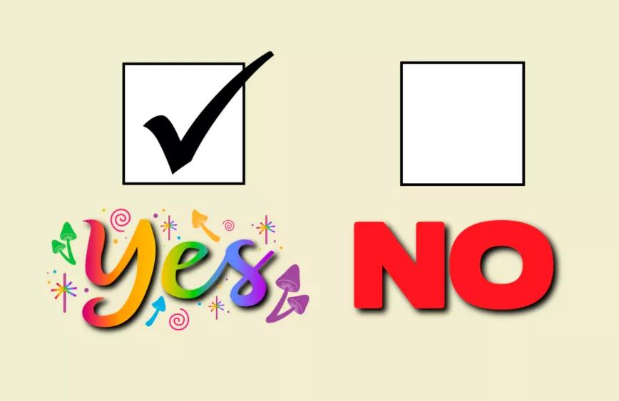 Colorado votará para legalizar los psiquedélicos en noviembre