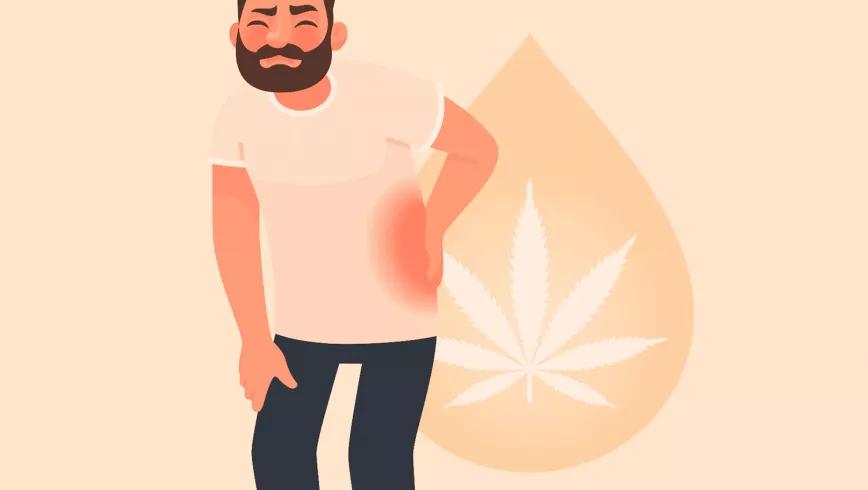 Miedos, cautelas y dolores Editorial Cáñamo 296