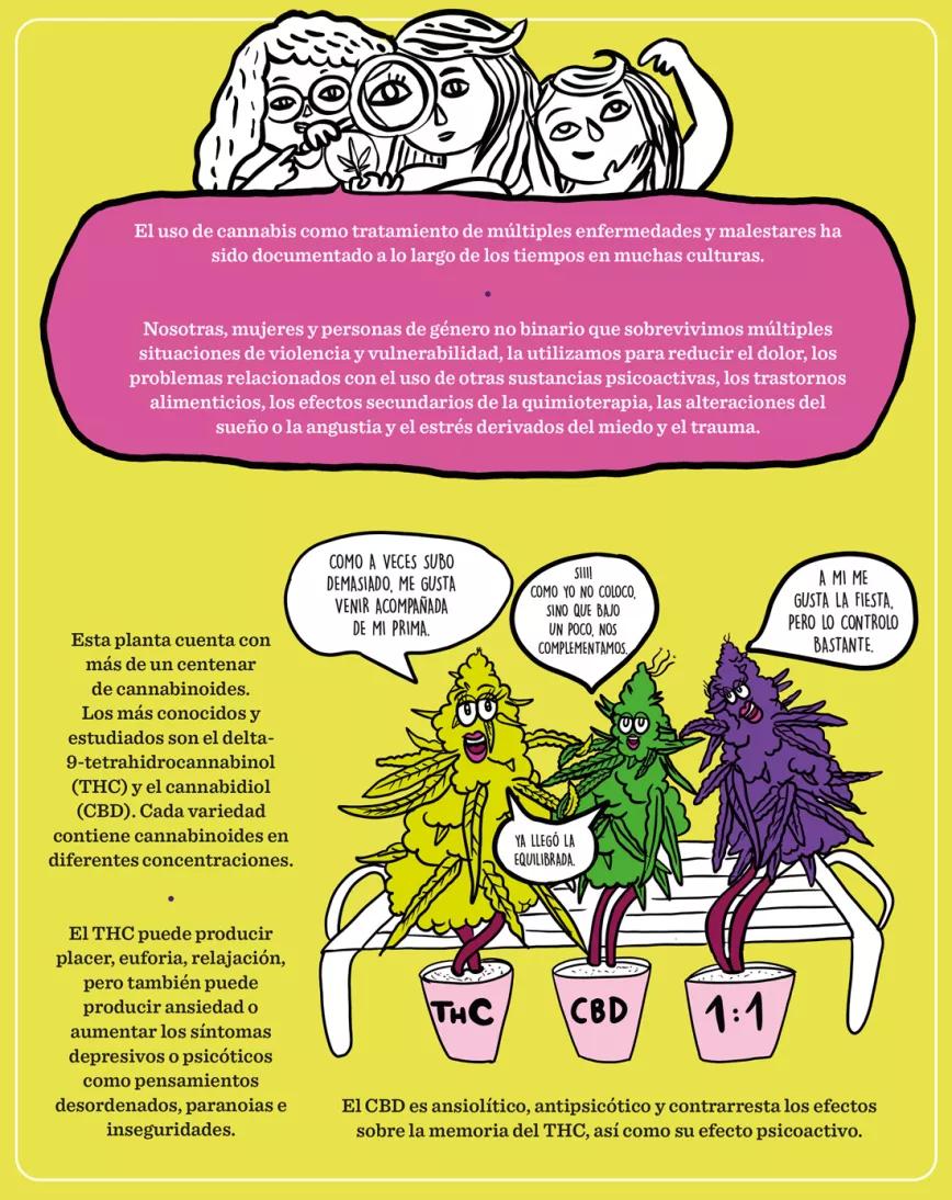 CANNABIS COMO HERRAMIENTA DE REDUCCIÓN DE DAÑOS 