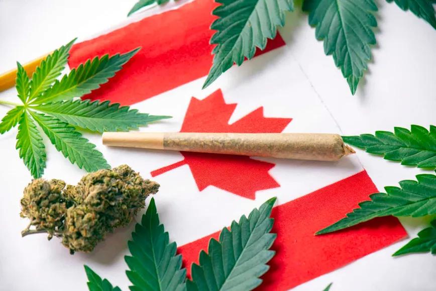 Las nuevas políticas de drogas en Canadá 