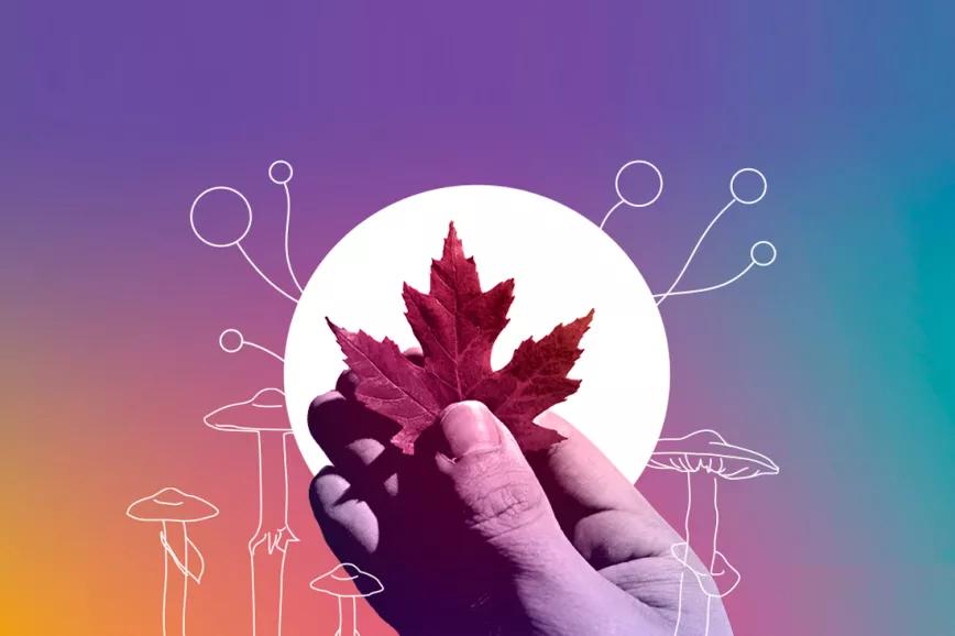 Las nuevas políticas de drogas en Canadá 