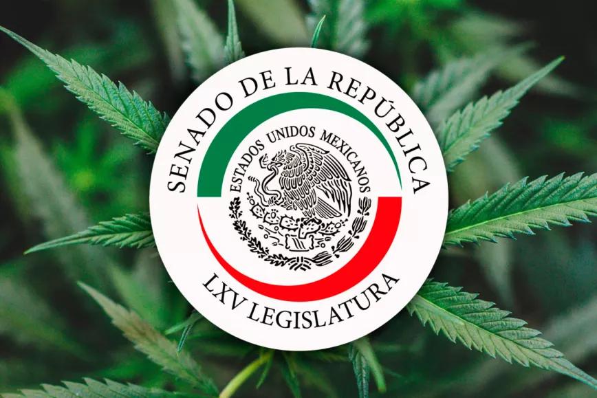 Senadores mexicanos insisten en que regularán el cannabis
