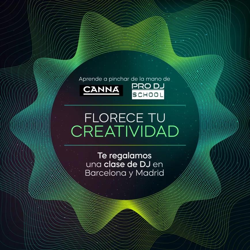 Florece tu creatividad