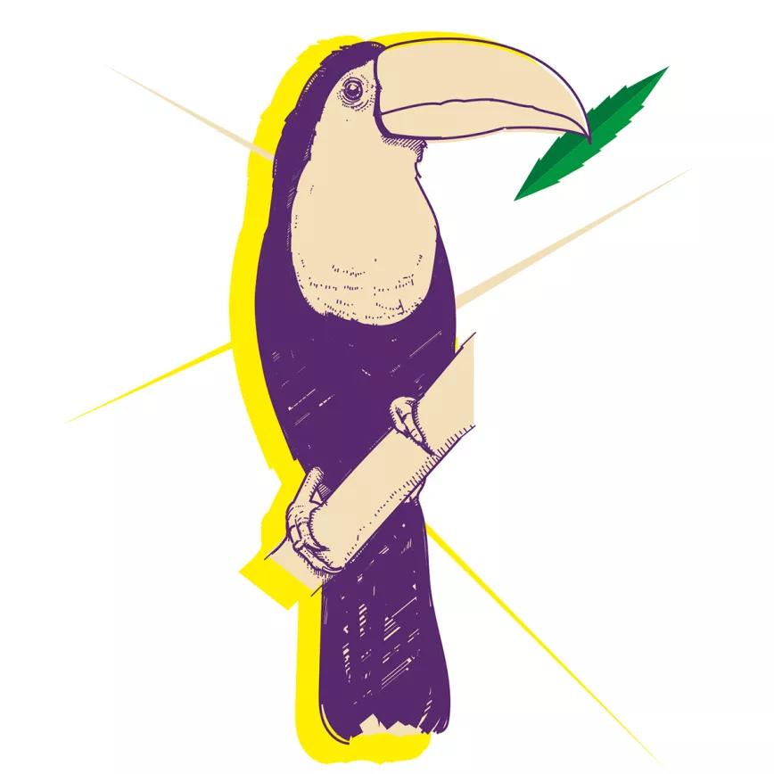 El presente cannábico en México 