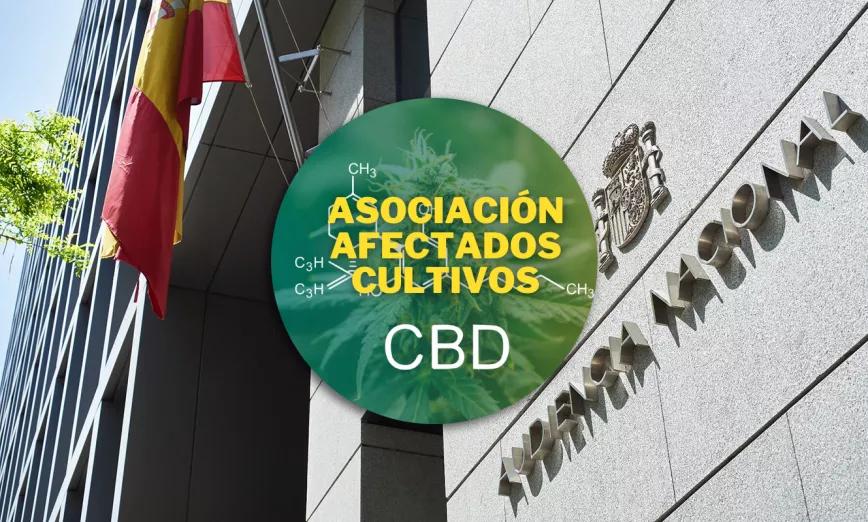 La Audiencia Nacional acepta la querella contra Juicy Fields