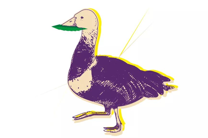 Despenalizando a Pachamama Por Oswaldo Pérez Cabrera