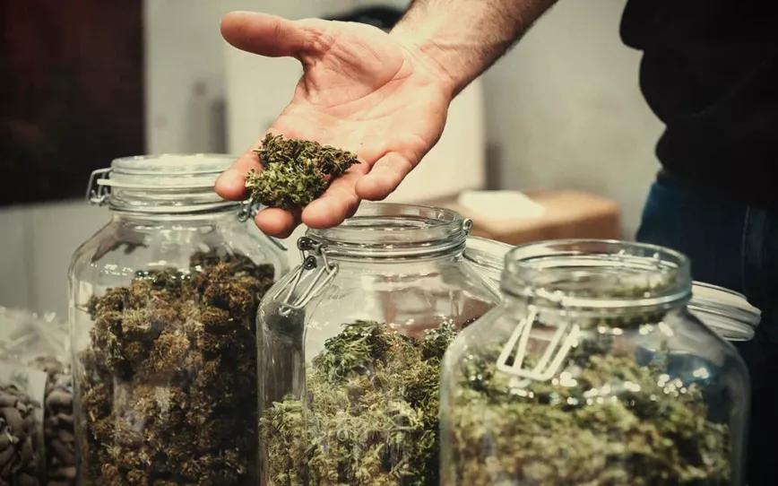 Montan un mercado de cannabis ilegal activista en Dublín con un cañón de hierba