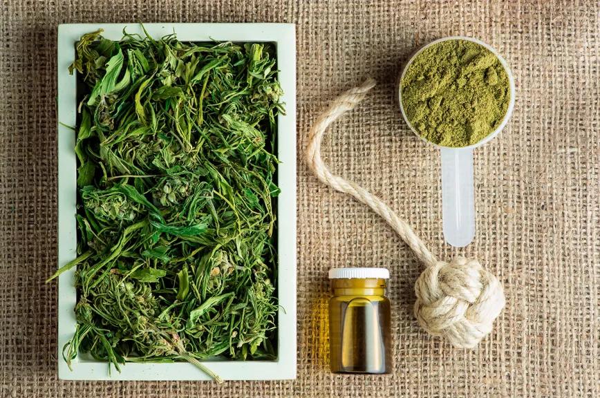 La economía del cáñamo en Europa llama la atención de EE UU