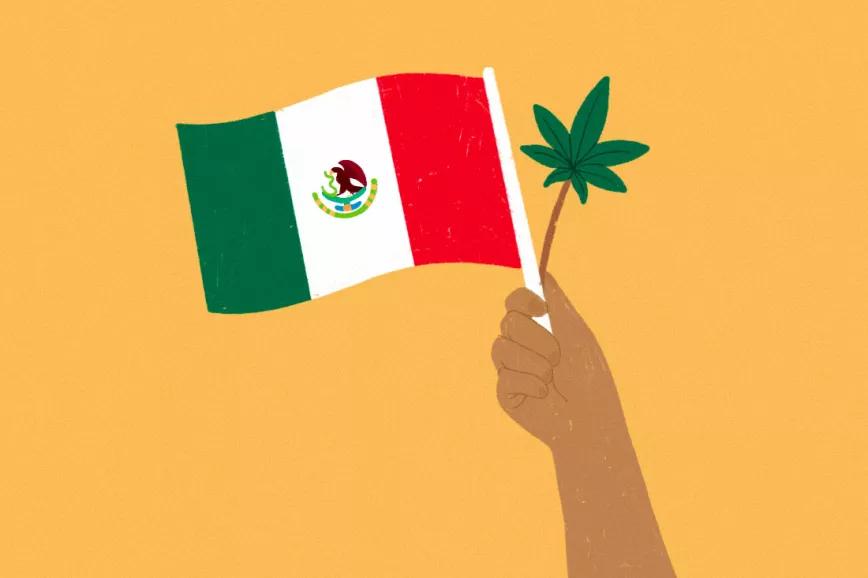 Un activista logra el permiso de la administración mexicana para usar marihuana