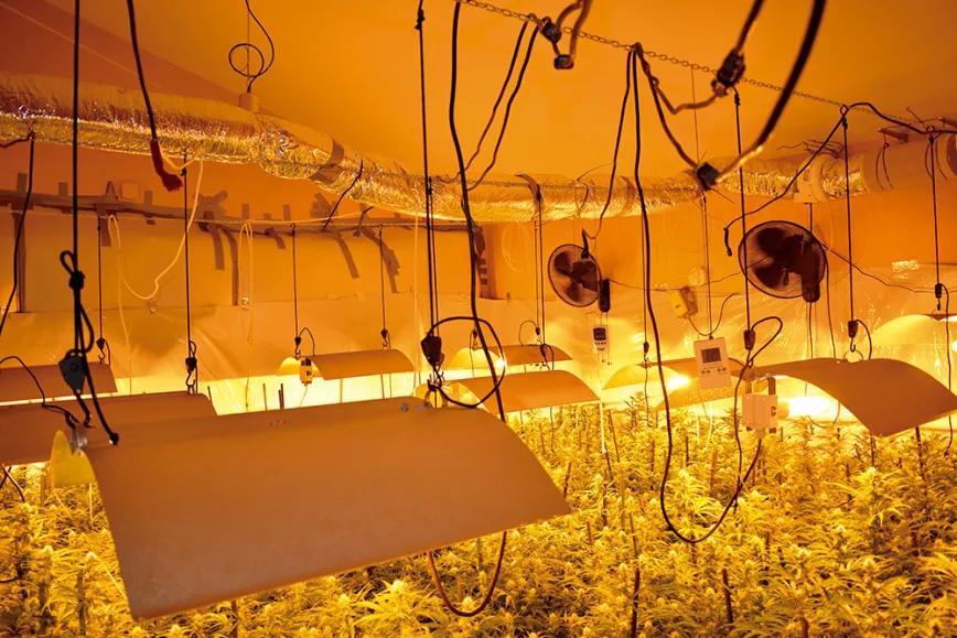 Mejora la producción del ‘indoor’ 