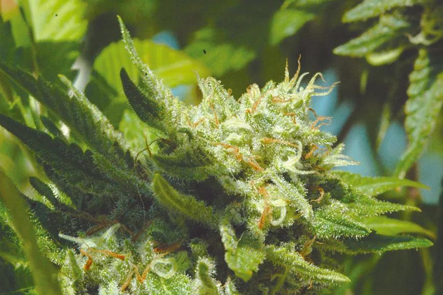 Diez trucos para el secado perfecto 