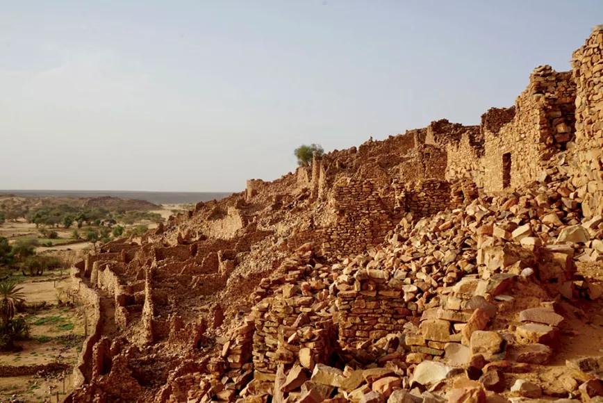 Un porro en Mauritania