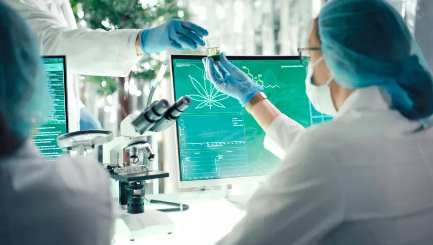 Un estudio cuestiona la creencia de el CBD reduce los efectos indeseados del THC