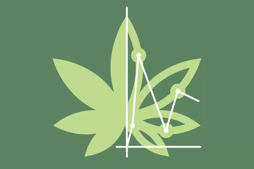 La regulación del cannabis medicinal llegará a España el mes que viene, asegura el Gobierno