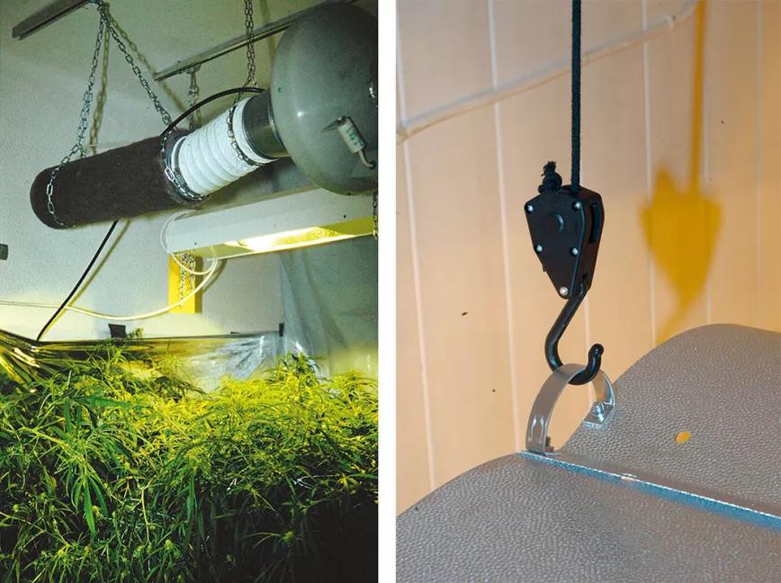 Diez pasos para empezar a cultivar con un kit de interior