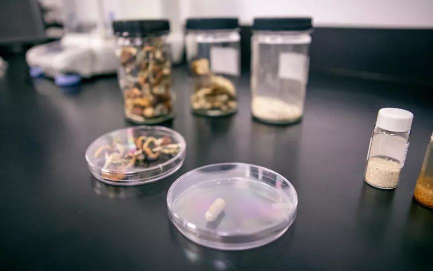 Quebec financia la terapia con psicodélicos a dos pacientes