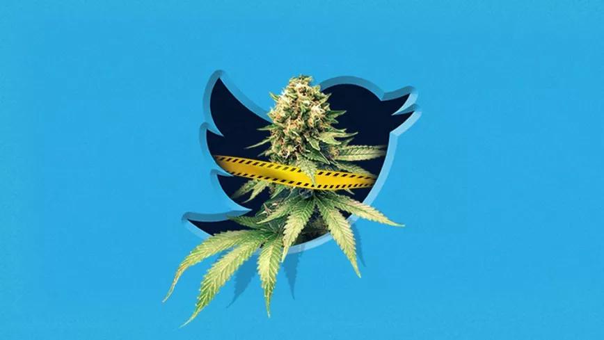 Twitter ya no ofrece ayuda a quienes buscan “marihuana” 