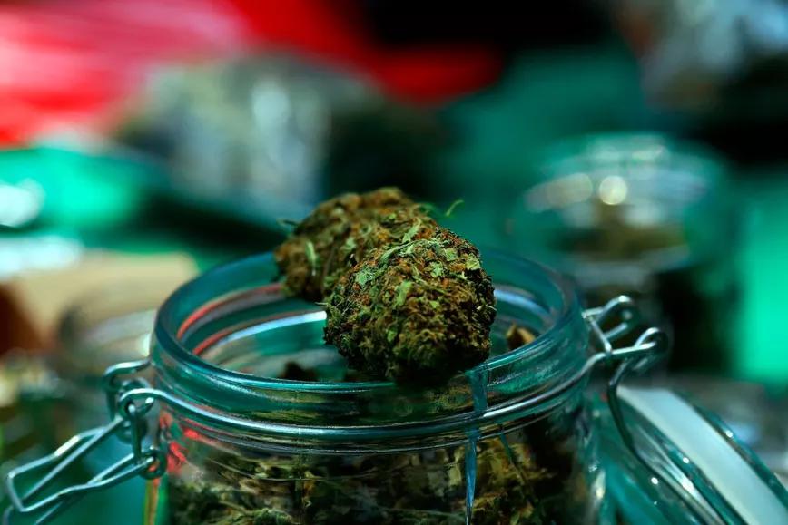 La policía interviene un club de cannabis en Mataró