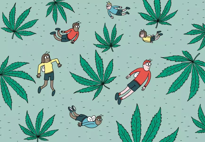 Ocho sugerencias sobre defoliación en interior