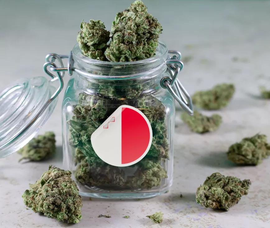 Alertan de que los clubs de cannabis en Malta podrían abrirse a intereses privados