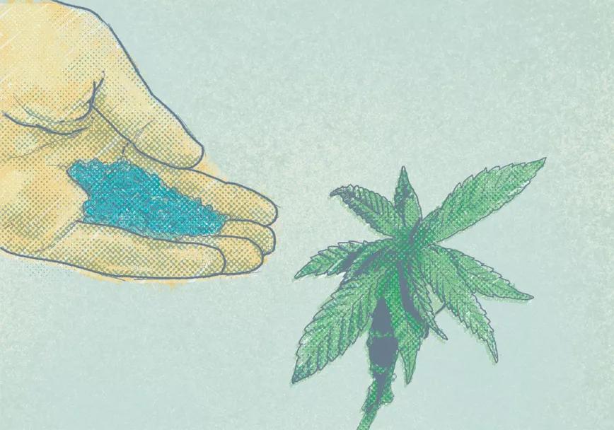 Profesor Cáñamo Abonos y aditivos 