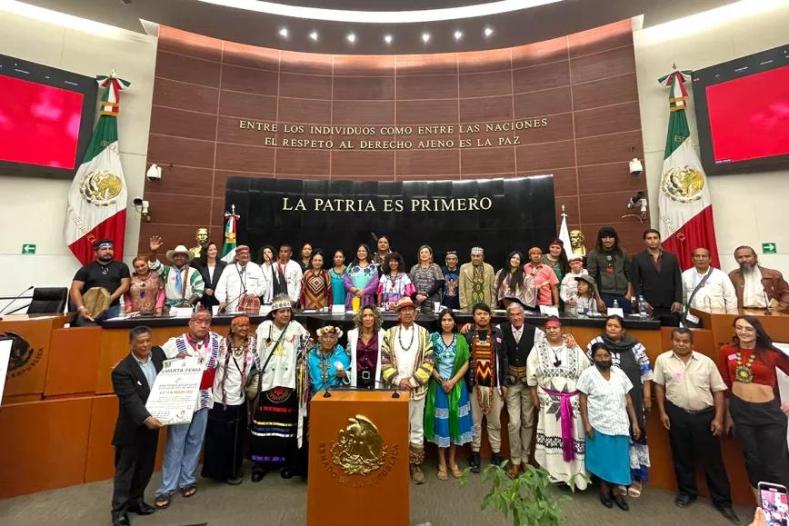 México camina hacia la legalización de los hongos alucinógenos 