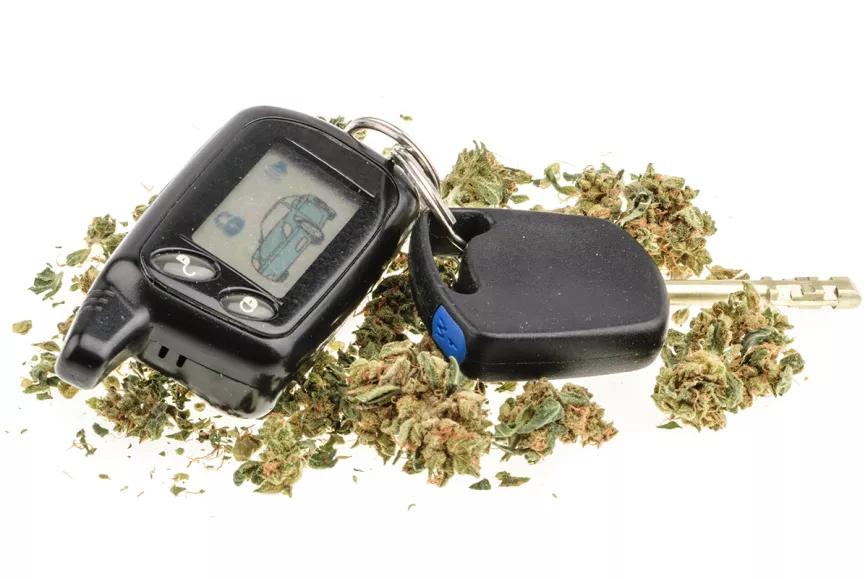 Piden parar las multas de cannabis a los pacientes que conducen 