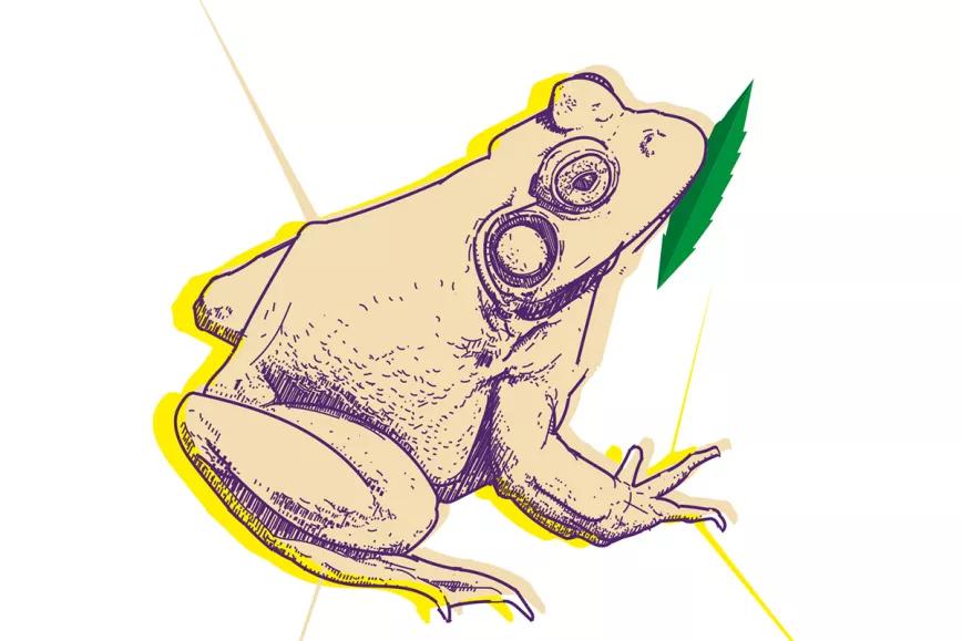 Municipalidades malvadas 