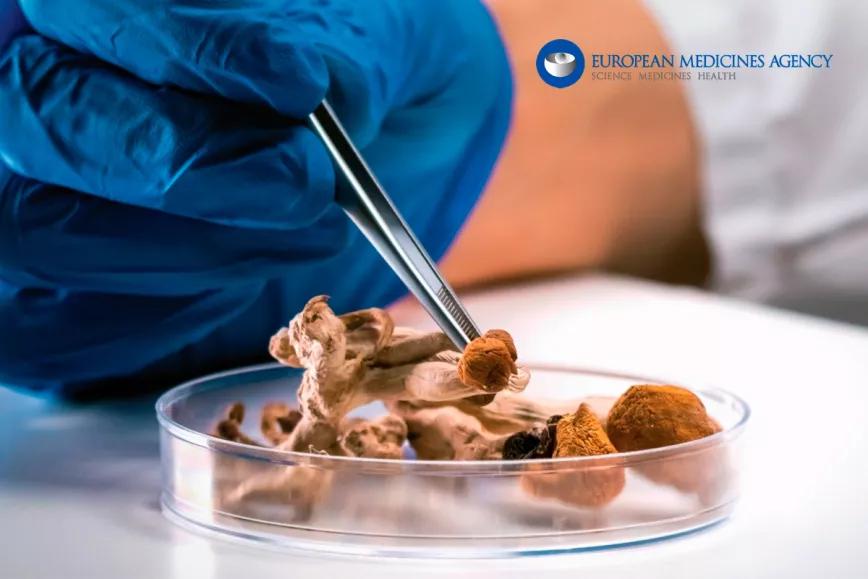 La Agencia Europea de Medicamentos explora el interés de los psicodélicos 