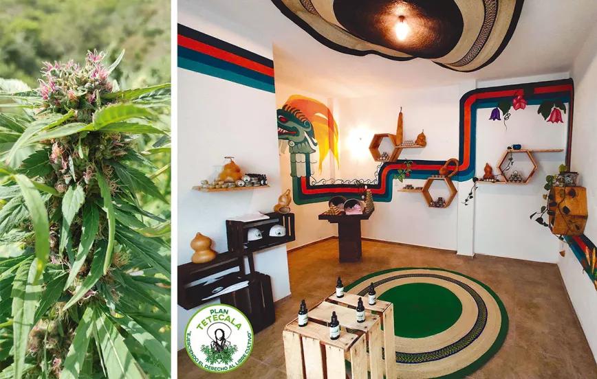 El Plan Tetecala cuenta con un dispensario en el poblado de Ahuatepec, Morelos, donde venden flor, dan pláticas y se realizan actividades cannábicas.