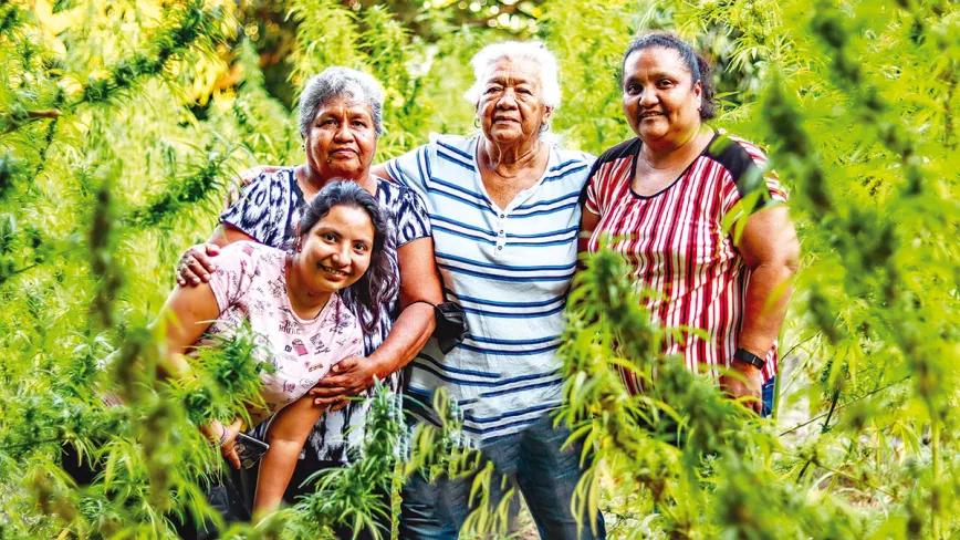 El pueblo de Tetecala: por la libertad del autocultivo en México