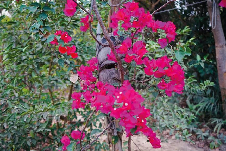La realidad se mezcla con la magia en Senegal, hasta que la realidad se convierte en magia y la magia en realidad.